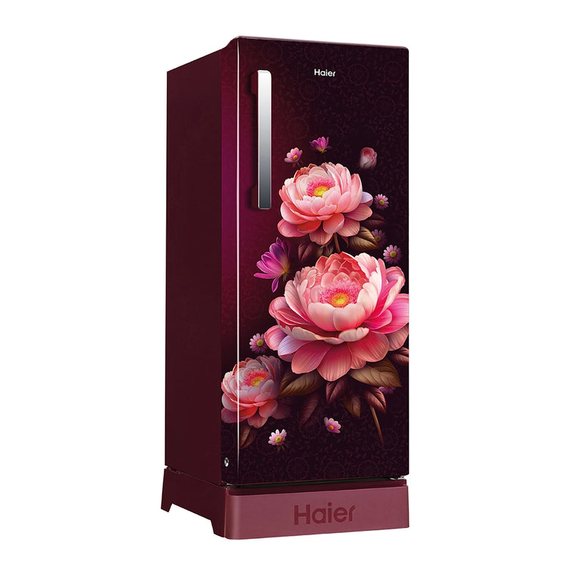Haier 190L 5 Star Red Blossom Single Door Refrigerator | HRD-2105PRBA-P-3