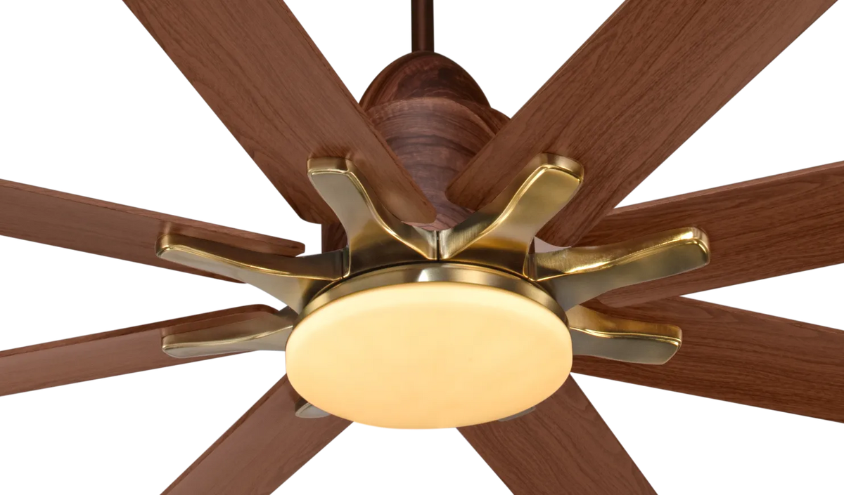 Kühl Polariz Star 66 BLDC Ceiling Fan 1650mm | 8 Blade Smart Fan with Downlight | WiFi & Alexa Enabled | Remote Control | 5 Star Energy Saving | Silent High Airflow Fan-3