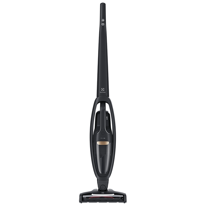 Electrolux WQ61-1EGG Well Q6 Vacuum Cleaner-1