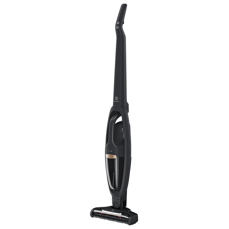 Electrolux WQ61-1EGG Well Q6 Vacuum Cleaner-4