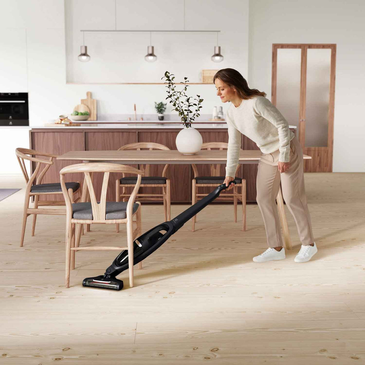 Electrolux WQ61-1EGG Well Q6 Vacuum Cleaner-6