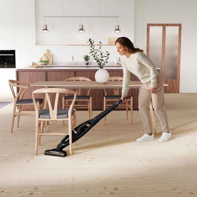 Electrolux WQ61-1EGG Well Q6 Vacuum Cleaner-6